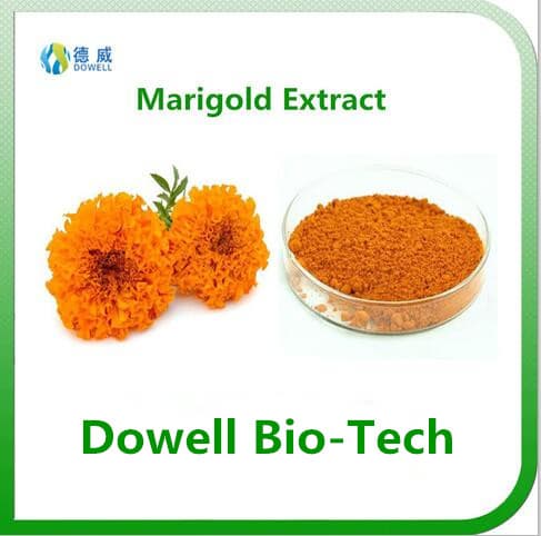 Marigold Extract Lutein 5__90_